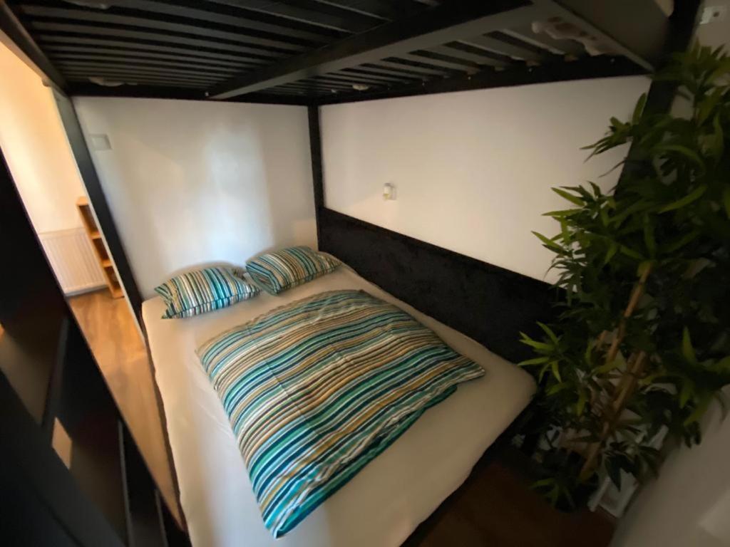 Duplex And Loft * Bucureşti